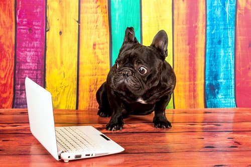 Online reviews – The why and the how