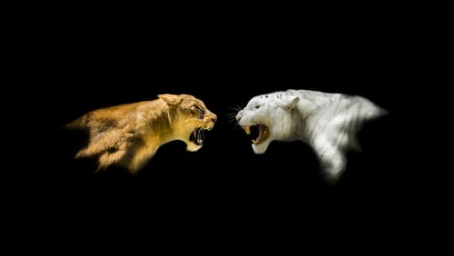 Is online marketing better than offline marketing?